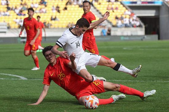 国产成人综合网在线播放