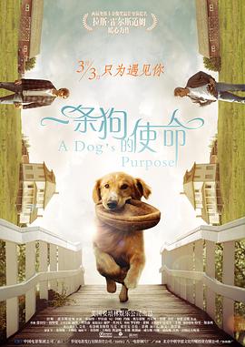 伊人五月天婷婷