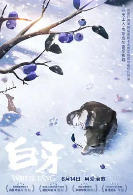 狠狠的射