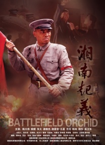 不卡在线播放