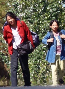 2021免费日韩视频网