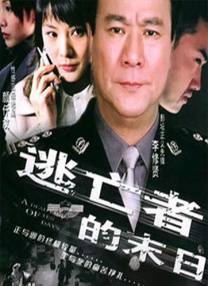 职场同事与搭档