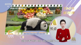 综合精品